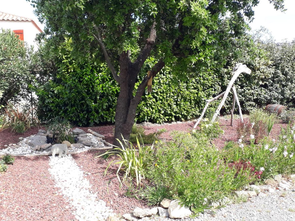 Domaine De La Clotte Bed and Breakfast Roquefort-des-Corbières Εξωτερικό φωτογραφία