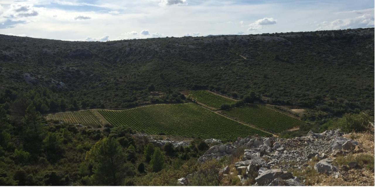 Domaine De La Clotte Bed and Breakfast Roquefort-des-Corbières Εξωτερικό φωτογραφία